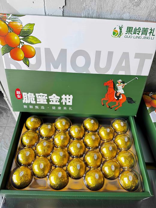 果岭菁礼 融安脆蜜金柑三代 纯甜金桔新鲜带皮吃孕妇水果现摘现发 顺丰包邮 商品图5