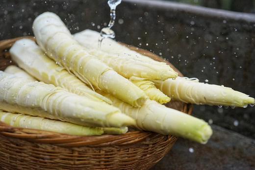 「春菜」临安天目山土雷竹春笋·又鲜又嫩 中笋 大笋 txa 商品图1