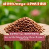 【熟亚麻籽】开袋就闻到浓浓的谷物香，低温烘焙去涩，口感香脆，嚼起来脆生生的，富含Omega-3脂肪酸，配料表干净，不榨油工艺保留高膳食纤维、超低碳水，饱腹控糖助力体重管理。 商品缩略图6