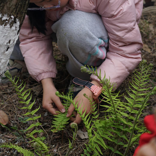 3.28下午场【骑进春天里，造一座掌心湖，遇见青龙湖的湿地生命】生态逻辑串联，收集植物样本，观察鸟类昆虫，复制微缩生态系统 商品图3