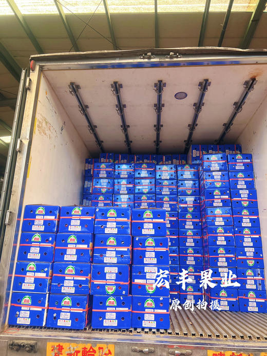 宏丰精选 越南红心火龙果  口感很好， 商品图9