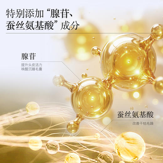 【新升级】羽心堂 当归多肽头皮精华 5ml*10支/盒 首乌安瓶 首乌头皮精华 商品图3