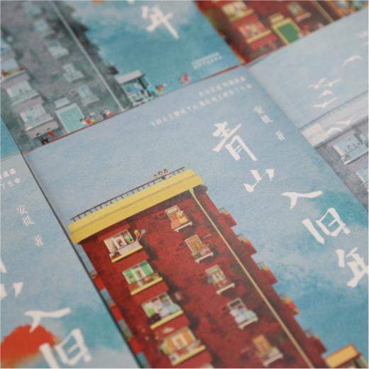 青山入旧年 商品图4