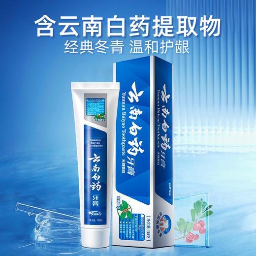 云南白药牙膏 冬青香型单支装  洁齿165g 商品图0