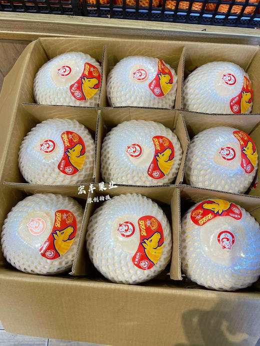 【宏丰精选】泰国椰青   泰国进口新鲜椰青 需要开口备注留言好  活动价9.9一个 商品图3