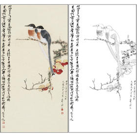 谢稚柳花鸟工笔画白描底稿《红叶山禽》临摹勾线高清打印稿XZ55
