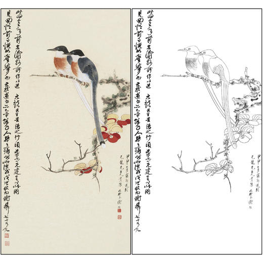 谢稚柳花鸟工笔画白描底稿《红叶山禽》临摹勾线高清打印稿XZ55 商品图0