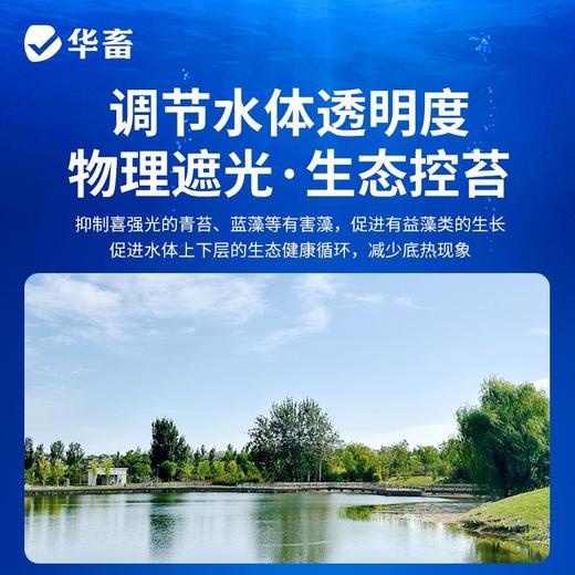 华畜青苔净青苔分解酶鱼塘净水除藻剂不伤害水草鱼虾蟹保苗稳水 商品图3