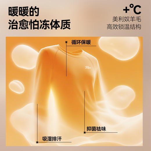 灰壳美利奴羊毛速干衣长袖户外运动登山徒步T恤美丽诺印花长袖男 商品图3