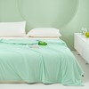 【品牌直发】加倍生活  夏季新款凉感丝夏被-薄荷系列  全新升级双面可用空调被 亲肤柔软夏凉被 商品缩略图3