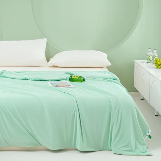 【品牌直发】加倍生活  夏季新款凉感丝夏被-薄荷系列  全新升级双面可用空调被 亲肤柔软夏凉被 商品图3