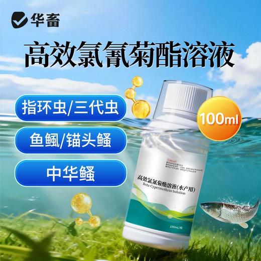 高效氯氰菊酯溶液水产养殖杀虫中华鳋锚头鳋三代虫指环虫青鱼草鱼 商品图0
