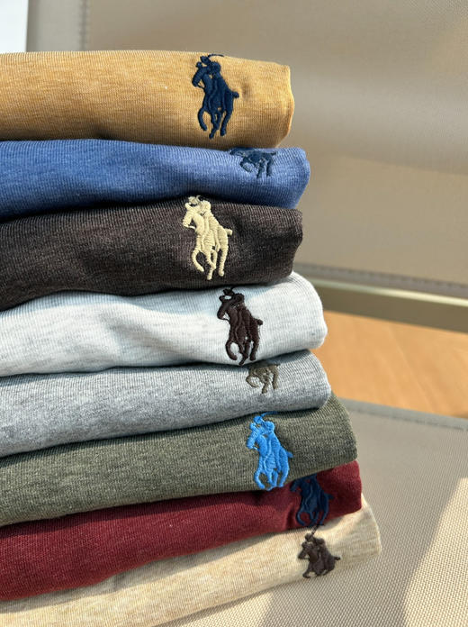 拉夫劳伦小马刺绣圆领花纱短袖tee031302 商品图8