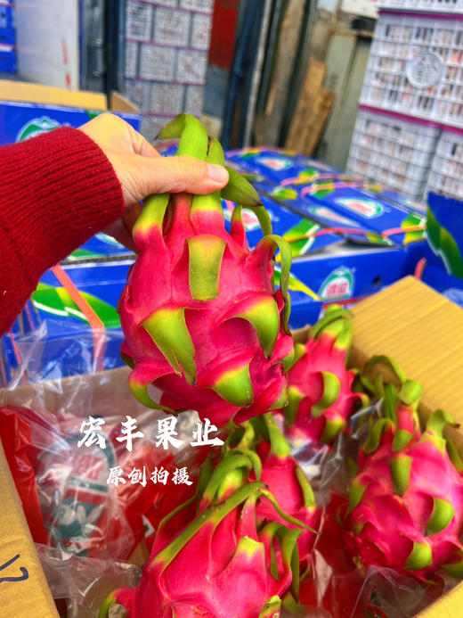 宏丰精选 越南红心火龙果  口感很好， 商品图5