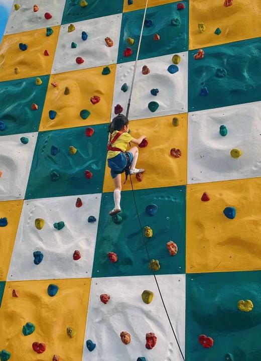 春假一日营4.2/4.3【青白江清泉】考古奇遇记：小小考古家：陆地考古、文物修复、水下考古；非遗传承：瓦当拓印；春假运动：勇气攀岩、 抓鱼/低空溜索 商品图9