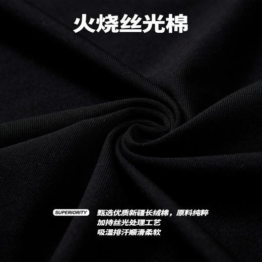 NPC潮牌胸前金线刺绣【火烧】丝光棉polo衫男潮流NP41TE72 商品图4