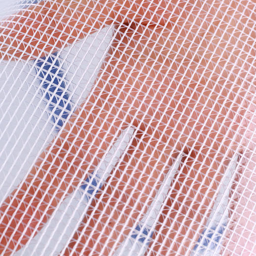 齐心拉链袋A1154网格A4（蓝色） 商品图3