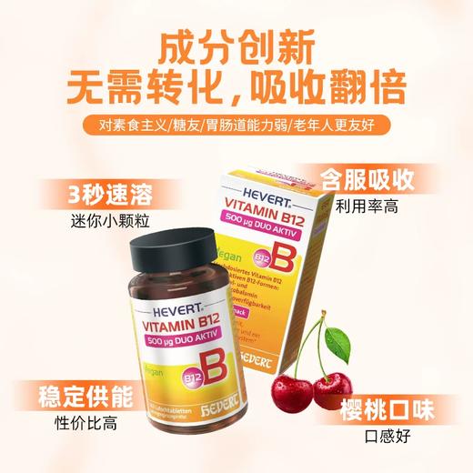 Hevert菲德双活性B12含片180片【德国直邮 下单请提供身份证正反面照片】 商品图1