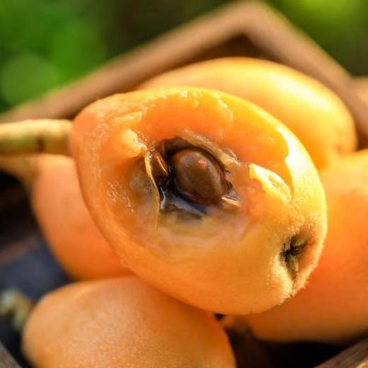 有机高山枇杷 商品图0