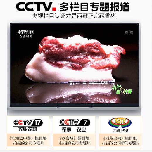 优选丨藏嘟嘟 藏香猪猪肉 原切五花肉 高海拔散养黑猪土猪 新鲜现杀分割冷链直达 肥瘦相间肉质紧实 富含营养 味道浓厚醇香 商品图2