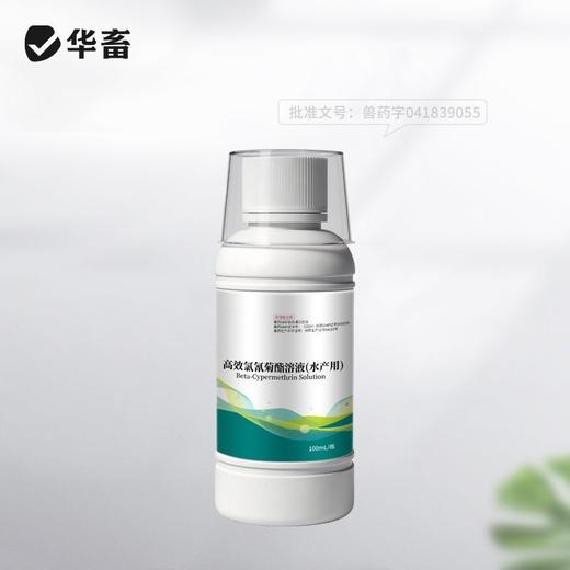 高效氯氰菊酯溶液水产养殖杀虫中华鳋锚头鳋三代虫指环虫青鱼草鱼 商品图5