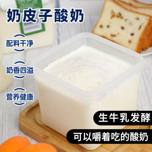 【牧少主】六层奶皮子酸奶 源于内蒙古黄金奶源带 纯正香浓生牛乳 进口活菌慢发酵 奶香浓郁 细腻柔滑 自然醇厚 商品图9