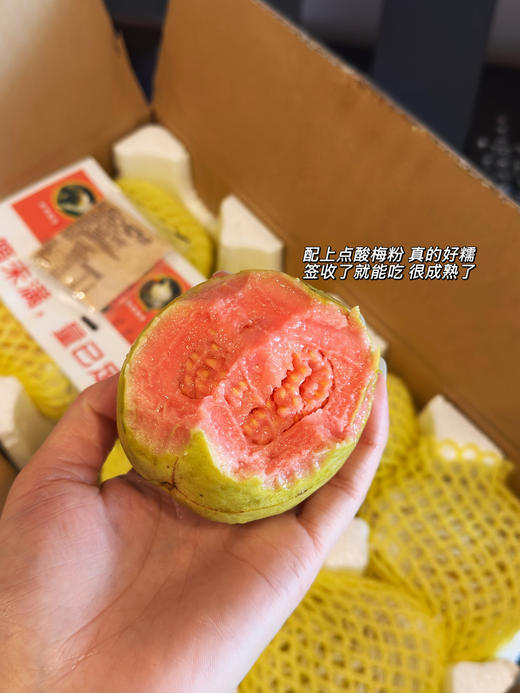 【奶油芭乐】 独特的海边盐碱地种植 肉质饱满多汁 冰淇淋口感释放浓郁甘甜 商品图1
