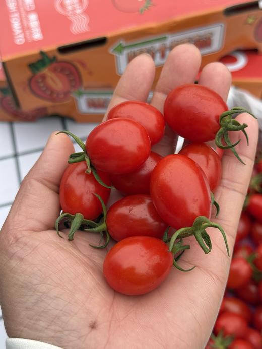 爆汁糖心小番茄 商品图2