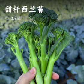 甜杆西兰苔 | 清新甜嫩 爽口脆嫩 融合西兰花与芥兰优点 低脂高纤 当季现摘新鲜蔬菜 时令蔬菜