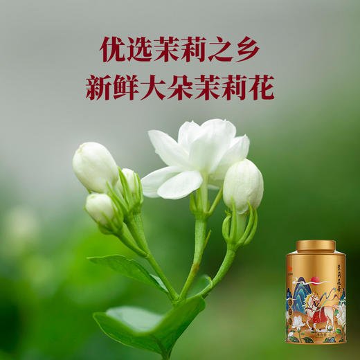 八马茶业 | 欢腾系列·茉莉花茶60g 商品图3