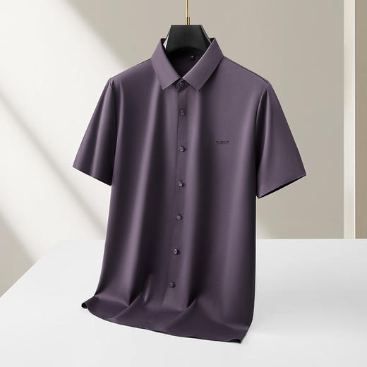 【DKP】【含桑蚕丝】大依优型大码男装夏季冰丝短袖衬衫翻领商务休闲上衣 商品图3