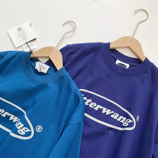 敲高性价比！颜色敲好看的字母印花短袖T恤  情侣款！ 商品图9