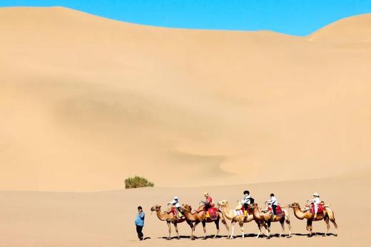 暑假|首发减￥1000！至尊丝路8天7晚亲子营，超奢版青海+敦煌游学！99%不去的小众私藏，霍去病始创的军马场、马蹄寺…天马群饮水、张掖挖丹霞、大漠养骆驼等稀缺体验！25人精致团，动车缩千里！美奢酒店 商品图4