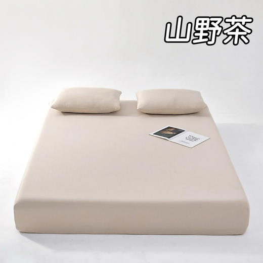  【亚D同款床笠】夏季全包床罩 床垫保护罩 防尘防滑床单套 单床笠（不含枕套） 商品图2