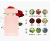 纳西索 罗德里格斯 柔雾迷情 女士淡香精 50ml  82000734101-F 商品缩略图2