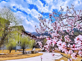 【五一】<西藏拉萨+林芝四飞7天-12人精品纯玩团>米林希尔顿庄园酒店（含藏装体验、转经广场藏装锅庄晚会）、雅鲁藏布大峡谷、大峡谷南迦巴瓦热气球或游船、羊湖集体藏装航拍、卡若拉冰川、赠送布达拉宫旅拍