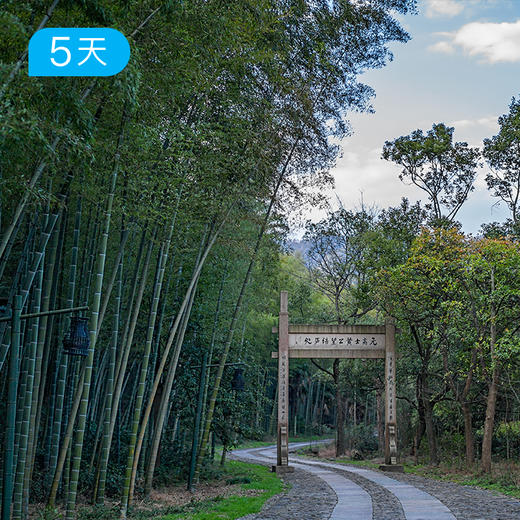 富春山居徒 | 打卡黄公望同款 人文讲师随行  16人精品小团 | 4日 商品图4