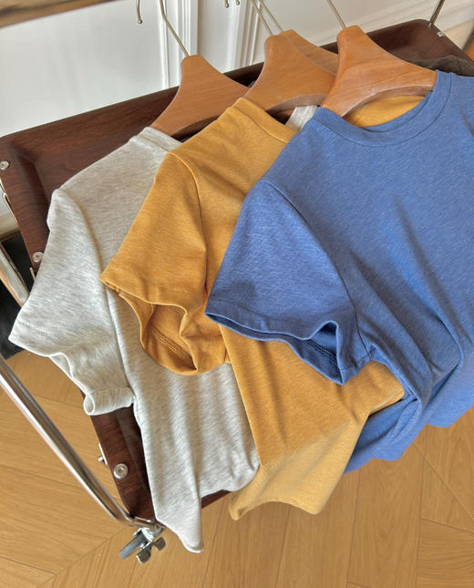 拉夫劳伦小马刺绣圆领花纱短袖tee031302 商品图6