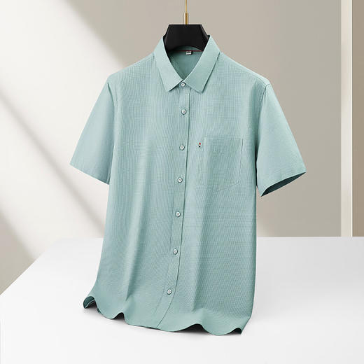 【DKP】【莱赛尔】大依优型大码男装翻领格子衬衫短袖商务休闲百搭上衣 商品图2