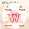 壹白清新系列牙膏| 100g/支 商品缩略图10