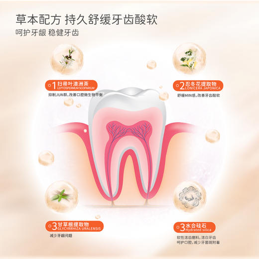 壹白清新系列牙膏| 100g/支 商品图10