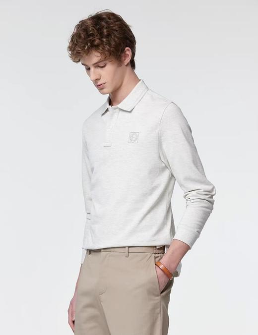 点此购买 哈吉斯春季男士商务通勤长袖POLO衫 yw 342139 商品图9