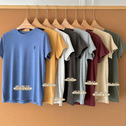 拉夫劳伦小马刺绣圆领花纱短袖tee031302 商品图1