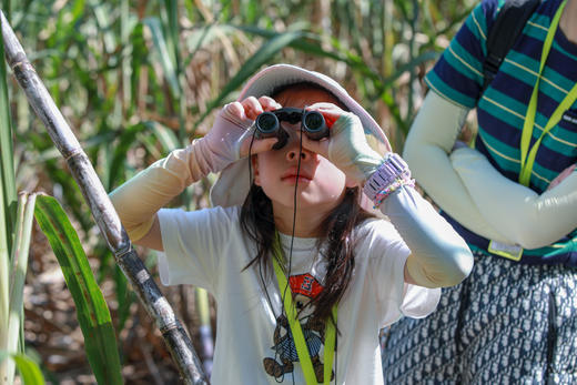 首发优惠立-￥1000！限前20人！五一崇左+钦州5天4晚亲子游 | 横跨中越边境瀑布，丁达尔雨林徒步，追中华白海豚、沙滩赶海、观摩岩画，寻珍稀叶猴获证书！全5钻住宿，配亲⼦领队、游学老师、跟拍摄影师 商品图10