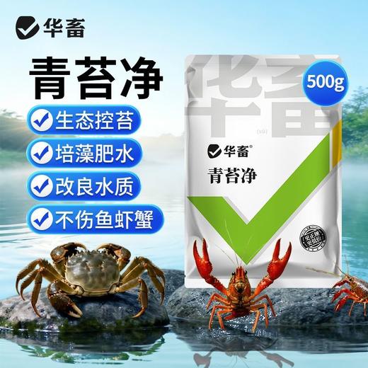华畜青苔净青苔分解酶鱼塘净水除藻剂不伤害水草鱼虾蟹保苗稳水 商品图0