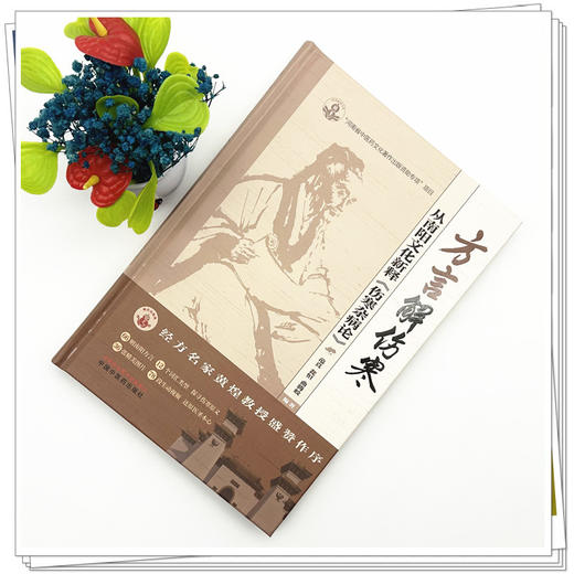 方言解伤寒:从南阳文化新释《伤寒杂病论》 范真 瓮恒 曲腾蛟 编著 岐黄新探书系 中国中医药出版社 商品图1