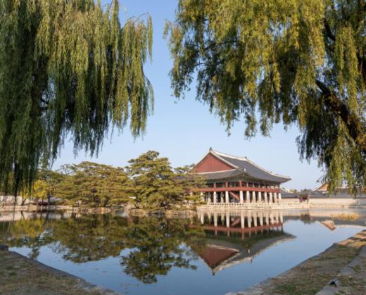 【五一】<韩国首尔+釜山双城5天-深圳直飞>扎嘎其市场、甘村文化村、海云台蓝线公园、海边胶囊列车、 海云台迎月路、景福宫、青瓦台外观、三清洞、弘益大学文化街、望远市场、望里团路、汝矣岛或石湖村、明洞 商品图1