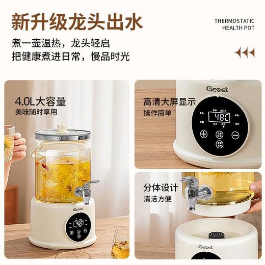 德国/Gemet花茶壶 玻璃养生壶水龙头养生壶 商品图3