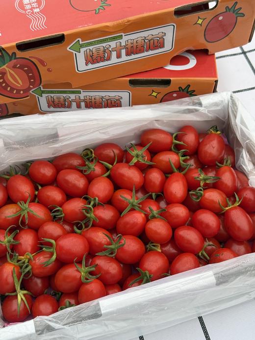 爆汁糖心小番茄 商品图5