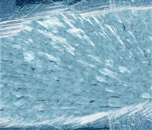 别只会囤衣服了！春天的第一笔钱，应该花在“它”身上！